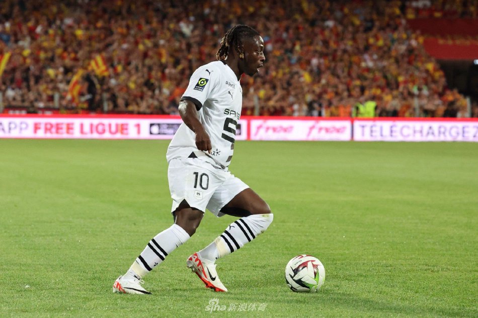 也可能导致 也可能导致